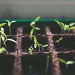 Assurez-vous d’insérer ici le titre correspondant de l’article de blog